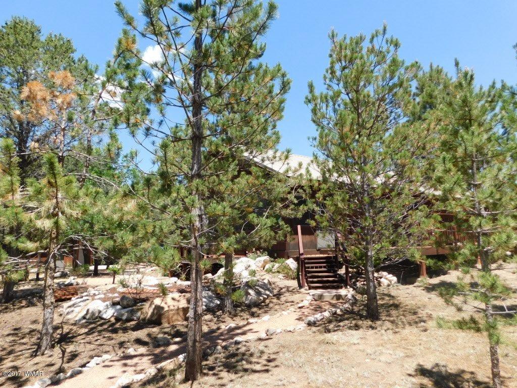3121 Aspen Road Overgaard, AZ 85933 - Photo 12 of 42