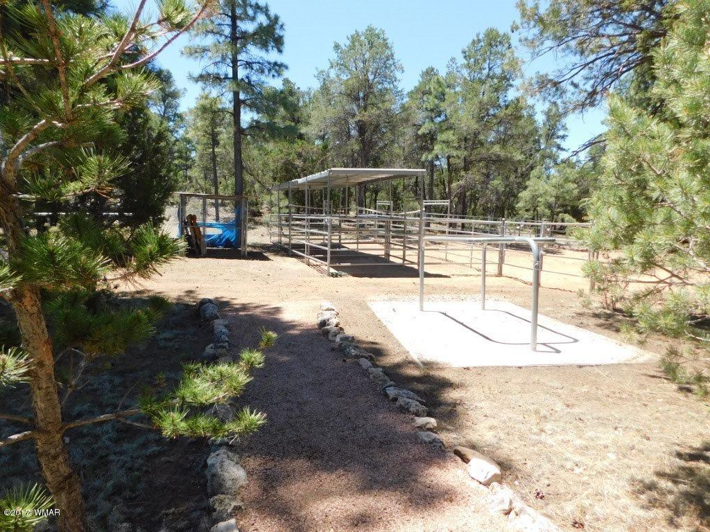 3121 Aspen Road Overgaard, AZ 85933 - Photo 13 of 42