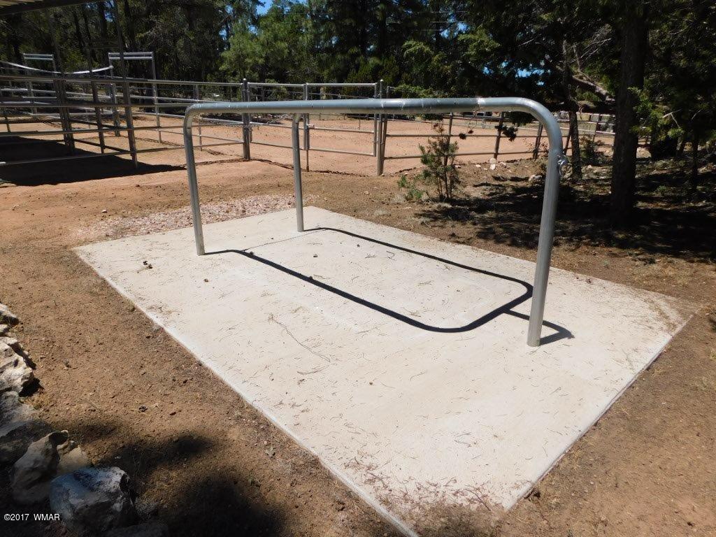 3121 Aspen Road Overgaard, AZ 85933 - Photo 14 of 42