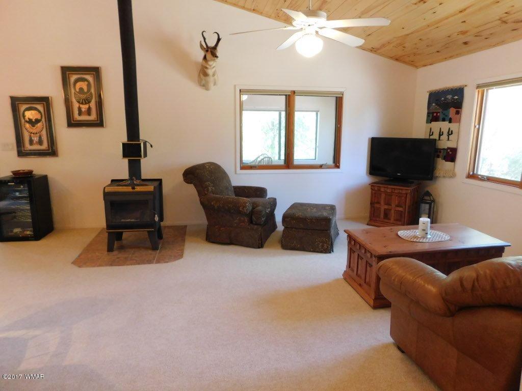 3121 Aspen Road Overgaard, AZ 85933 - Photo 20 of 42