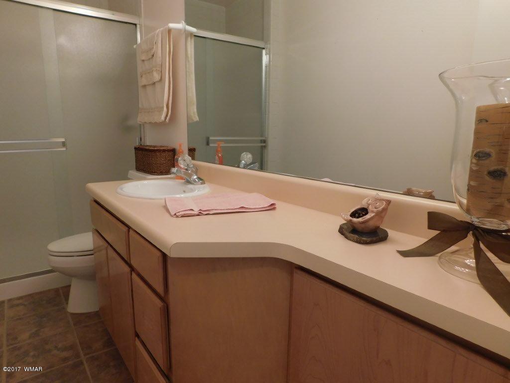 3121 Aspen Road Overgaard, AZ 85933 - Photo 28 of 42