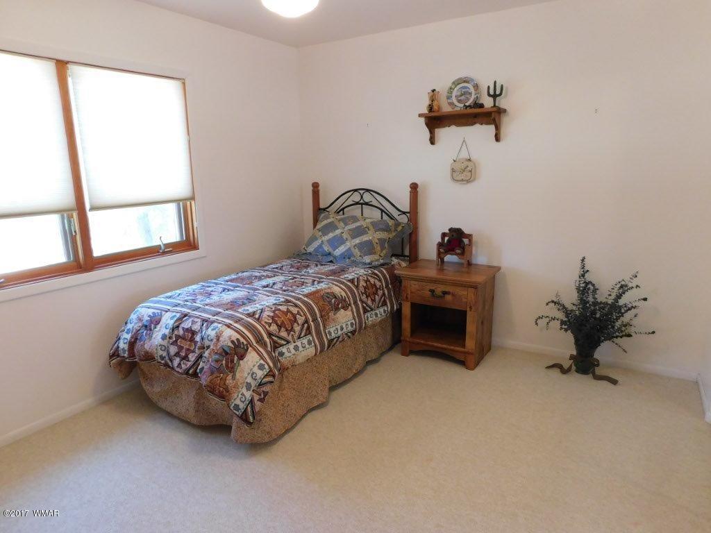 3121 Aspen Road Overgaard, AZ 85933 - Photo 29 of 42