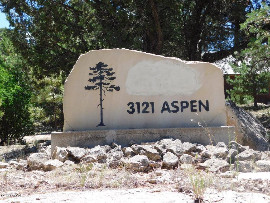3121 Aspen Road Overgaard, AZ 85933 - Photo 4 of 42