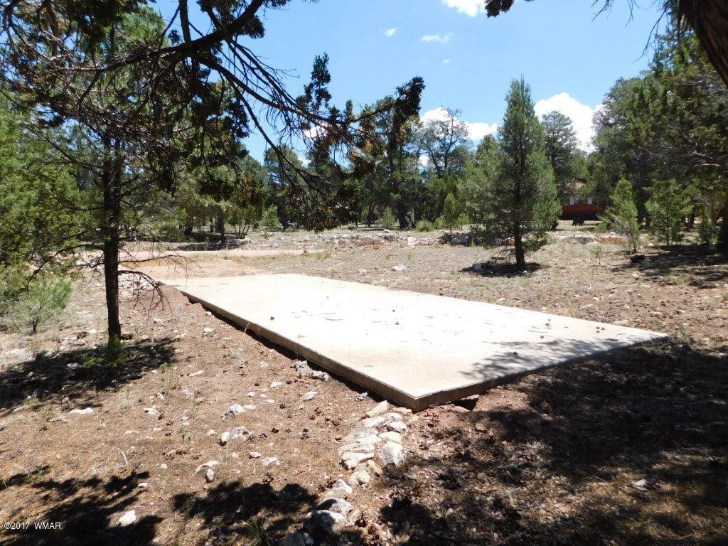 3121 Aspen Road Overgaard, AZ 85933 - Photo 10 of 42