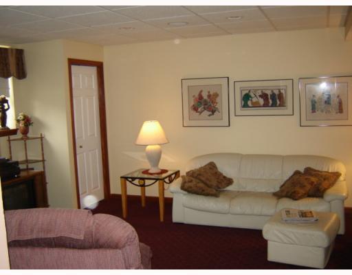 5251 Turner Road Gibsonia, PA 15044 - Photo 11 of 18 Den/Family/Great Room.