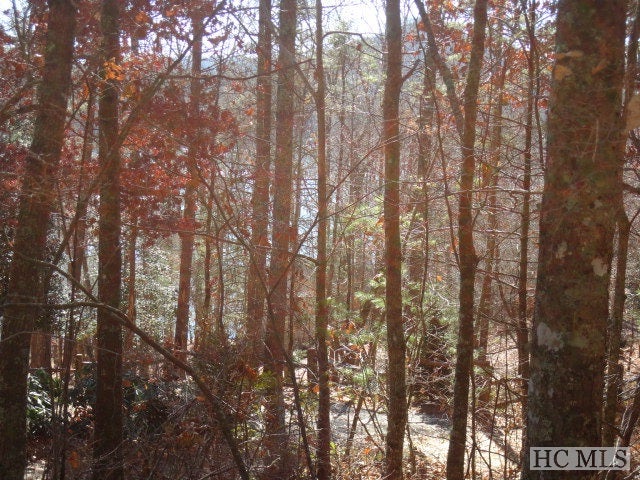 E Undala Road Glenville, NC 28736 - Photo 1 of 1 Main View