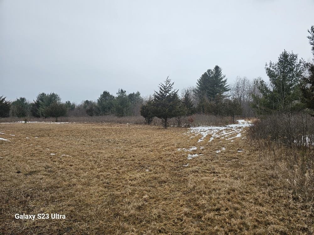 Three 3 Rivers Road Gladwin, MI 48624 - Photo 6 of 13