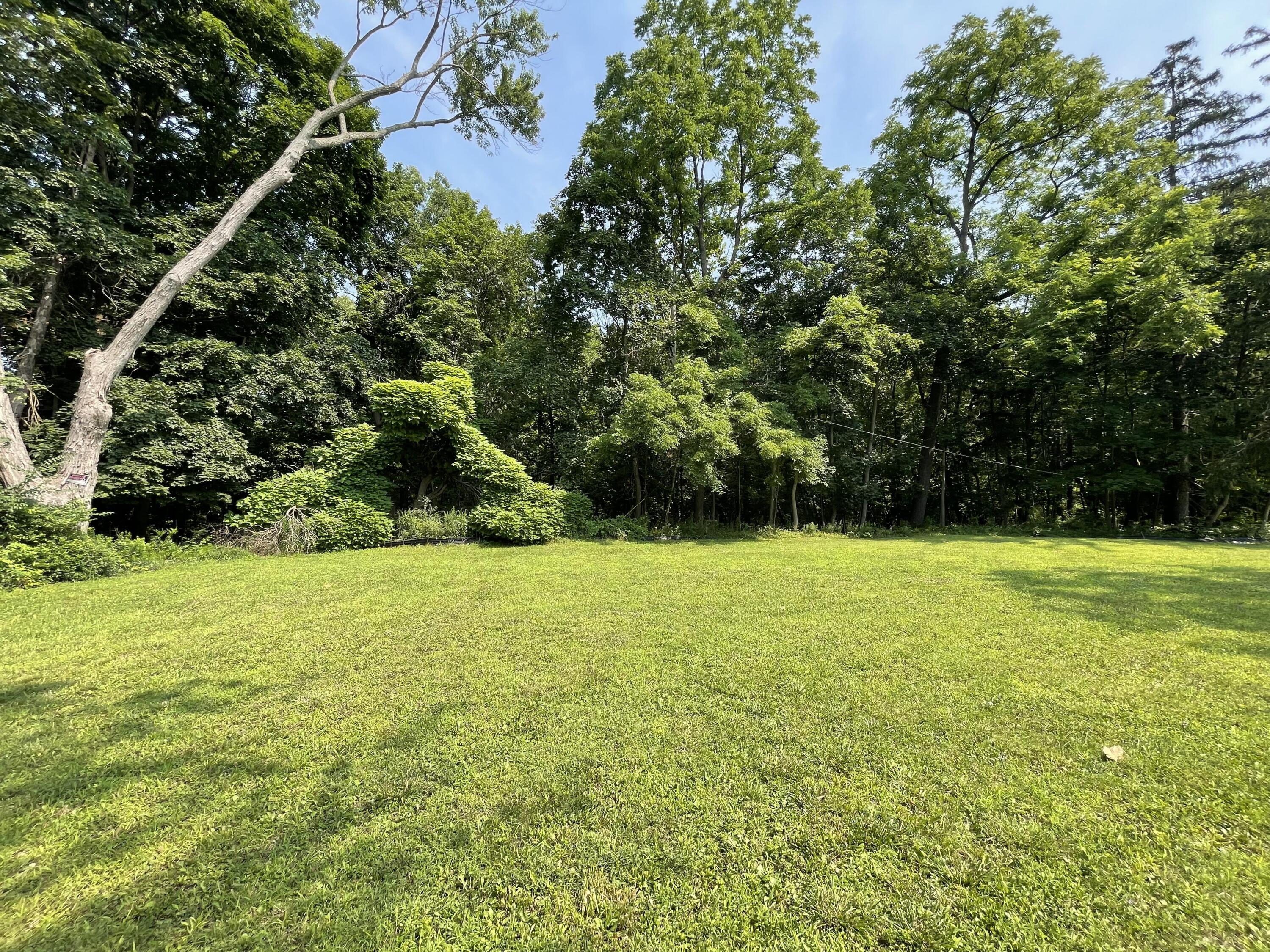 29700 Belfast Street Farmington, MI 48336 - Photo 6 of 11 IMG_5886