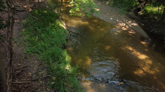 $185,000 | 29700 Belfast Street, Farmington, MI 48336