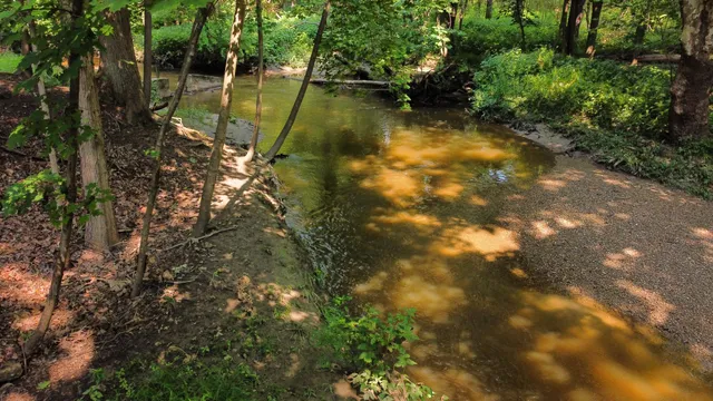 $185,000 | 29700 Belfast Street, Farmington, MI 48336