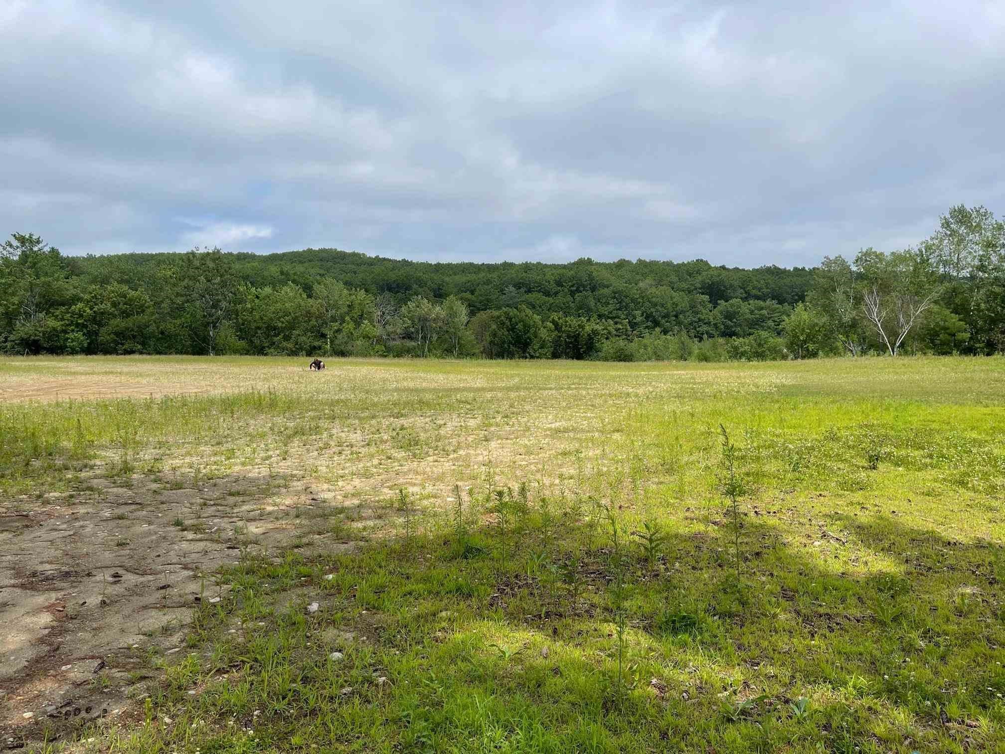 0 Straw Road, Unit 3E Manchester, NH 03102 - Photo 2 of 3