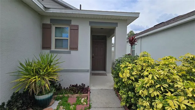 a potted plant sitting in front of a door