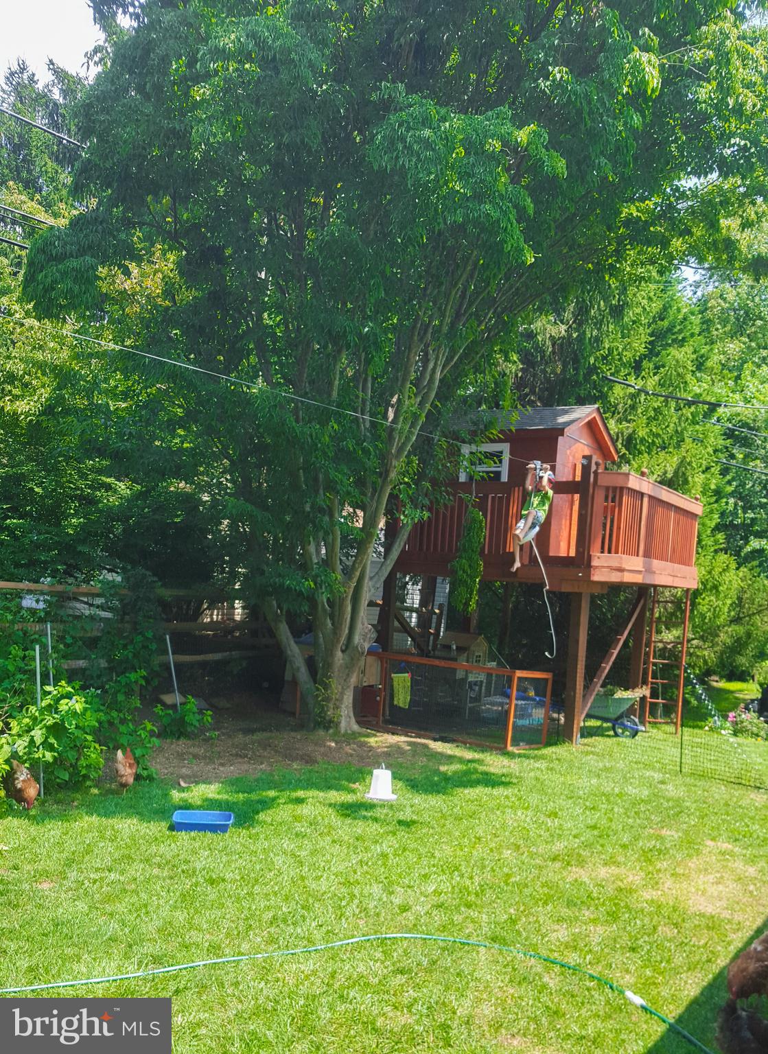 823 Clarendon Road Jenkintown, PA 19046 - Photo 16 of 67 Gallery Image 16