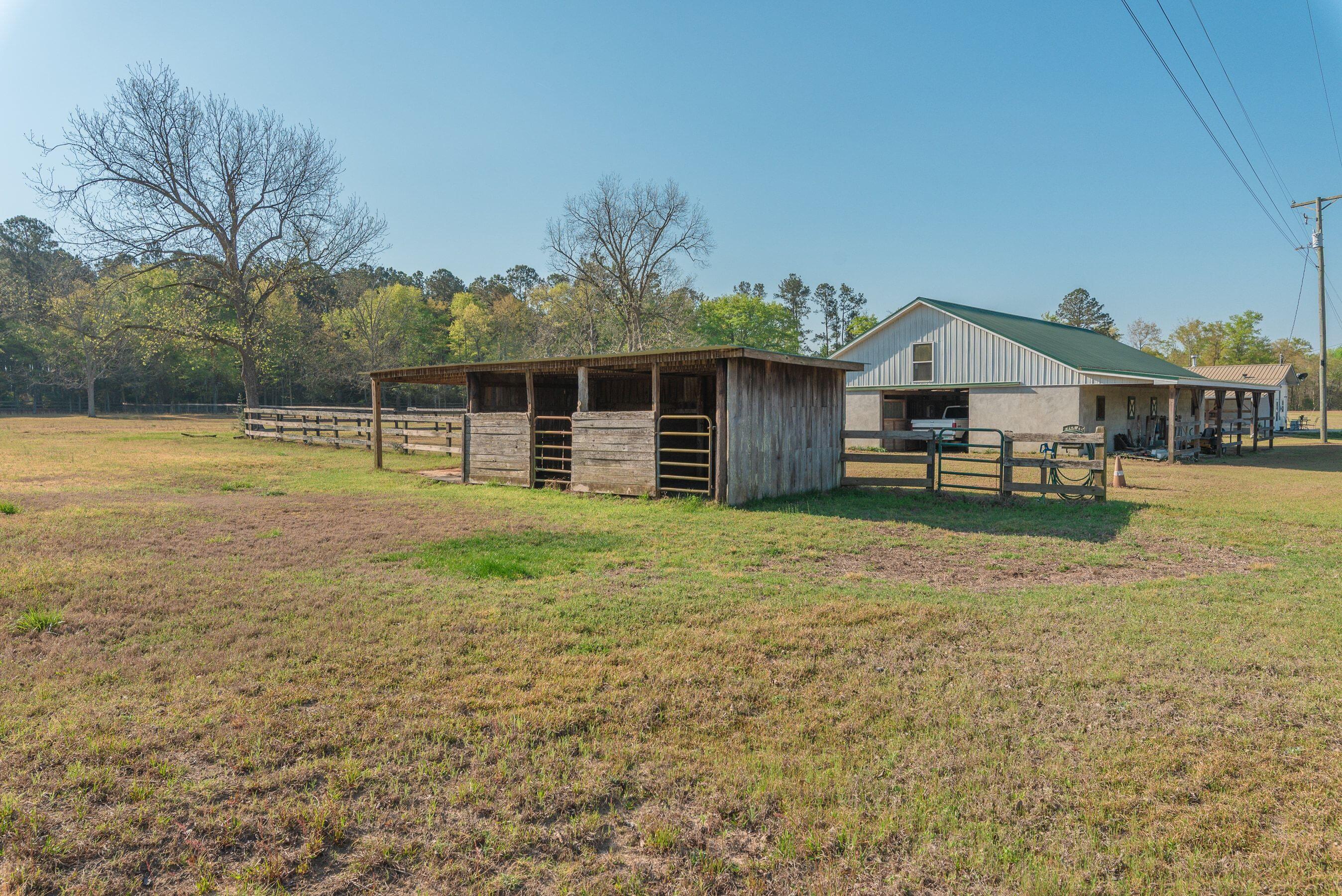 252 Moseley Road Williston, SC 29853 - Photo 28 of 64