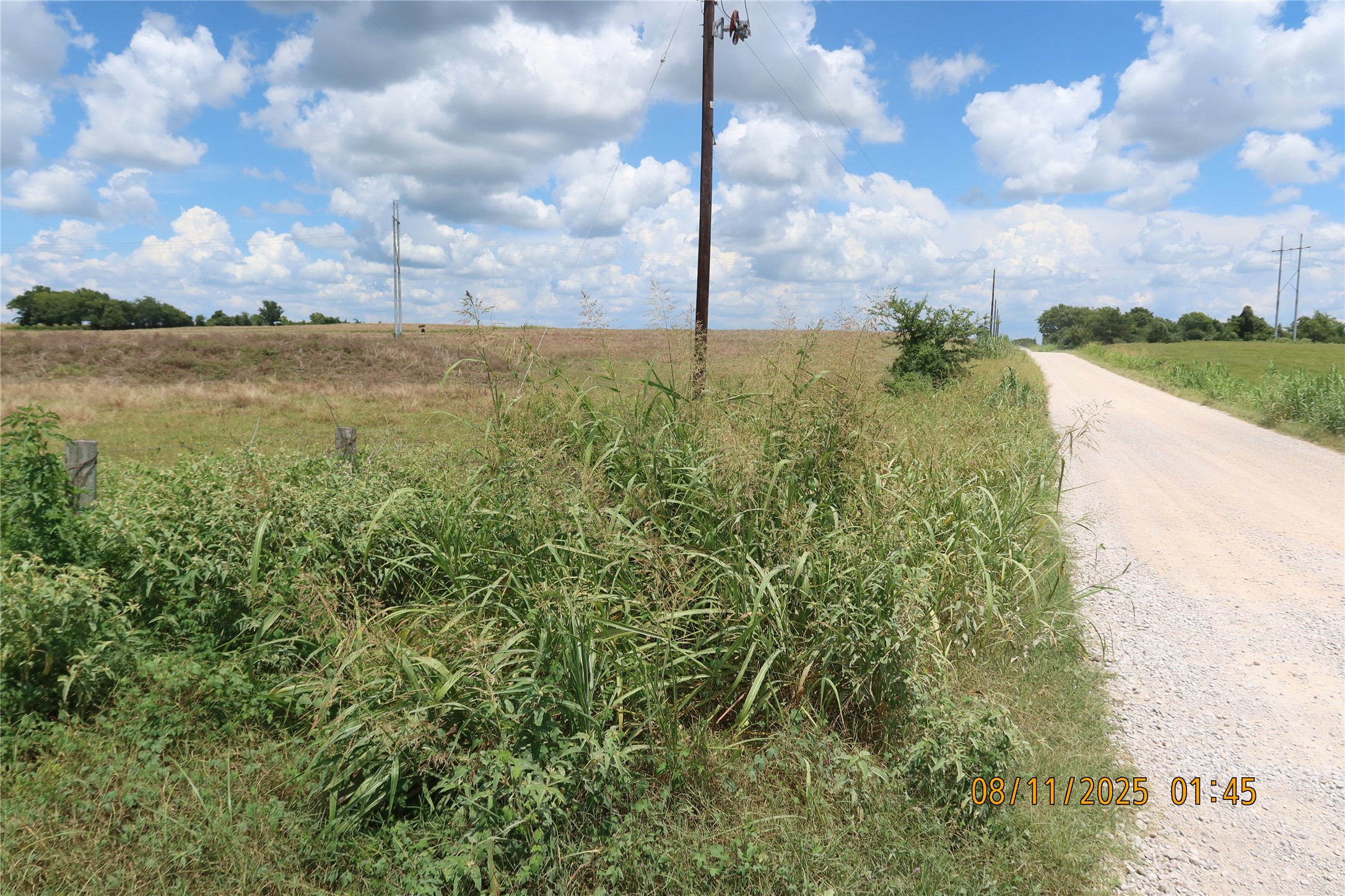 0 Sempronius Road Chappell Hill, TX 77426 - Photo 2 of 25 a view of a lake