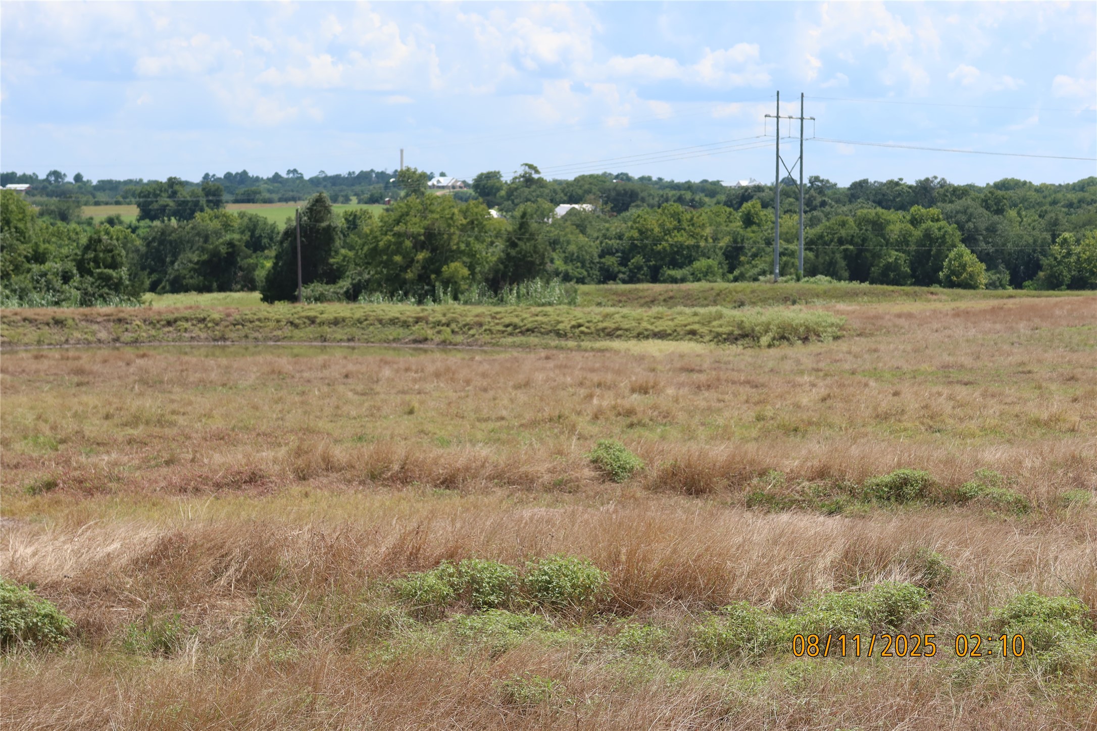 0 Sempronius Road Chappell Hill, TX 77426 - Photo 23 of 25 a view of a field of grass and trees