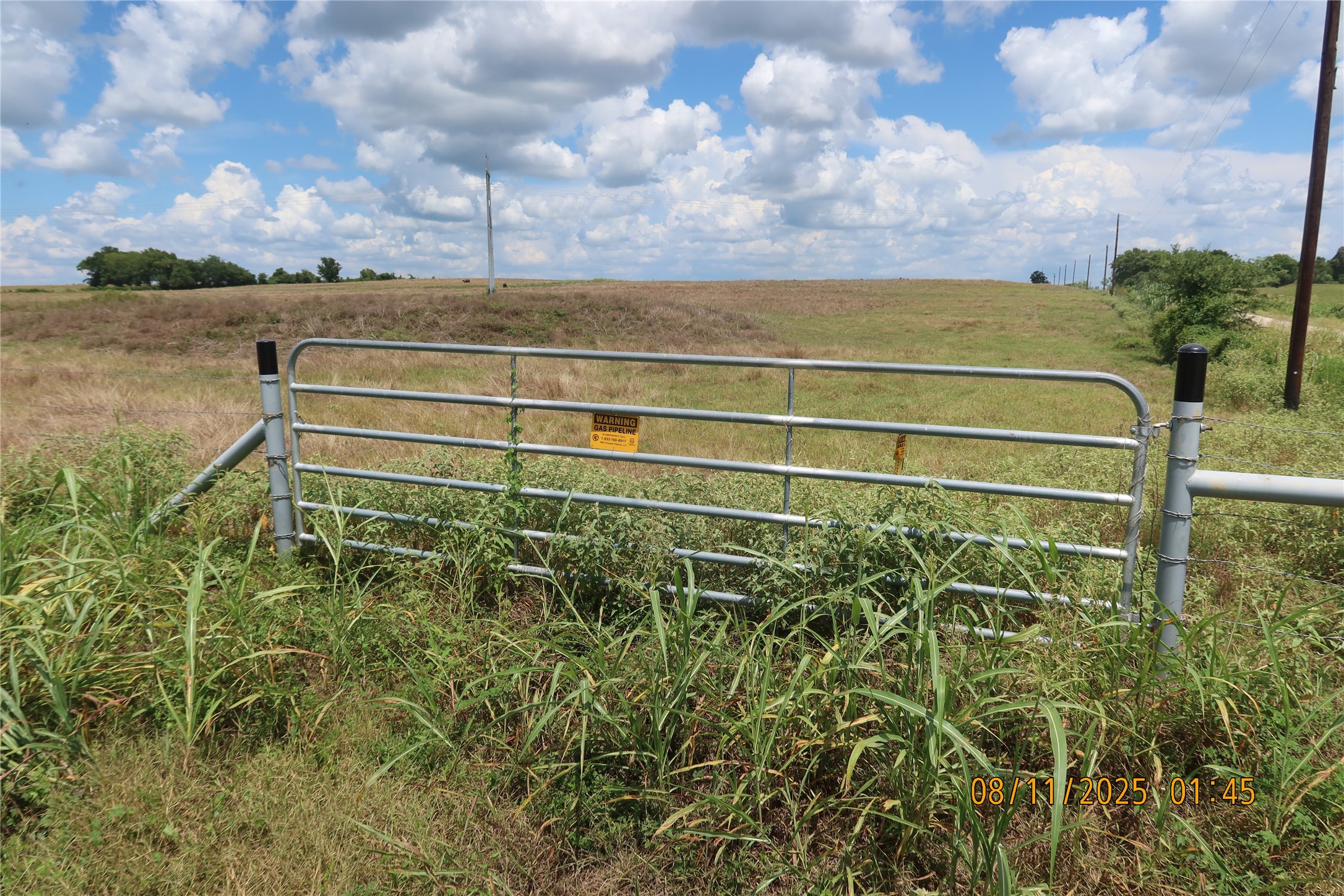0 Sempronius Road Chappell Hill, TX 77426 - Photo 3 of 25 a view of a garden