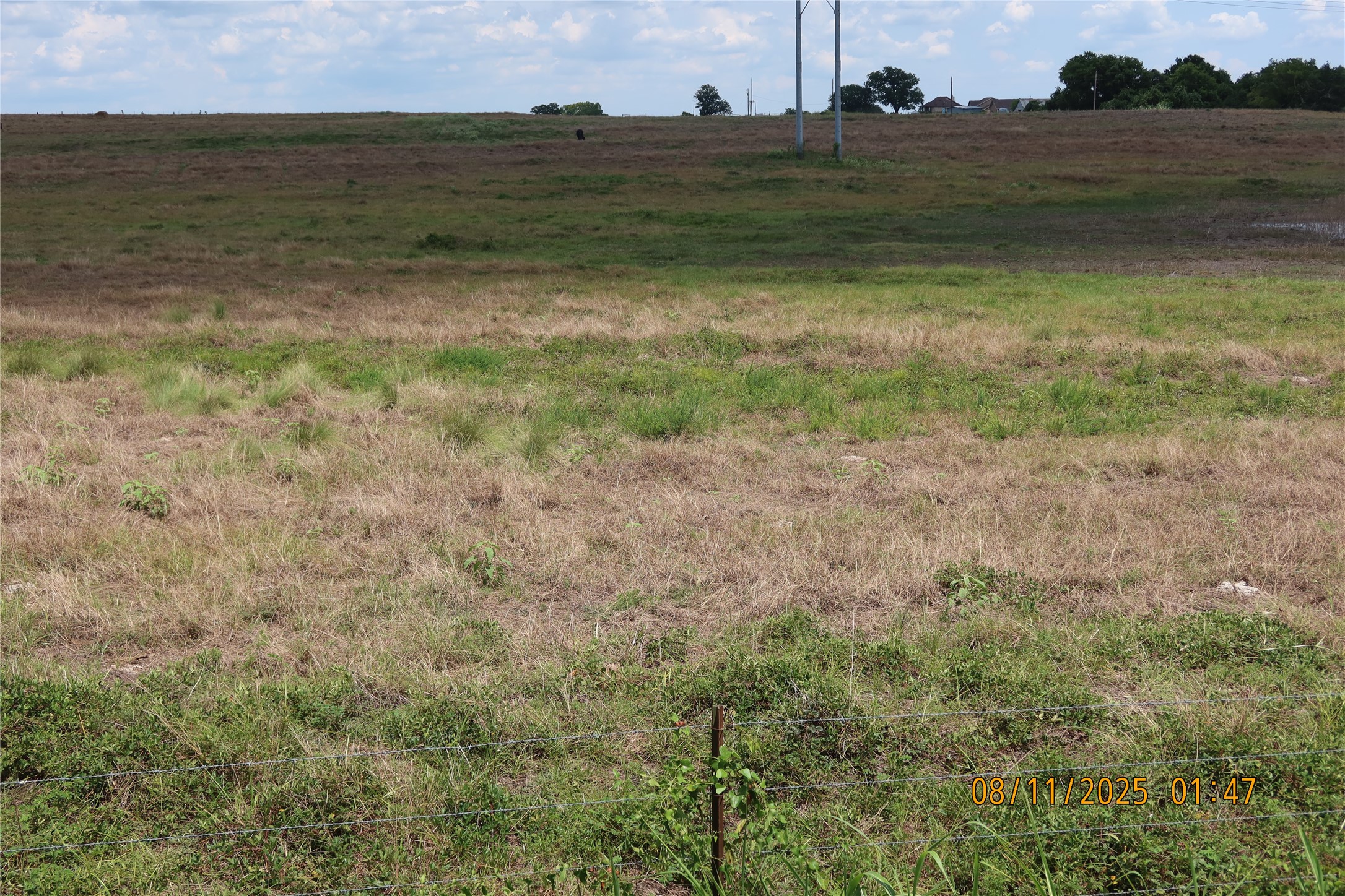 0 Sempronius Road Chappell Hill, TX 77426 - Photo 7 of 25 a view of a field with an ocean view
