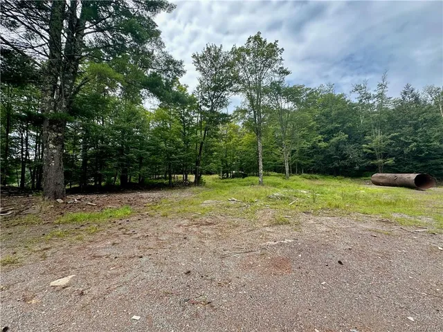 $899,000 | 28 Martin Lane, Mongaup Valley, NY 12762