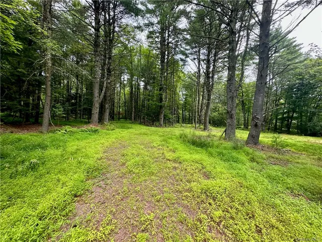 $899,000 | 28 Martin Lane, Mongaup Valley, NY 12762