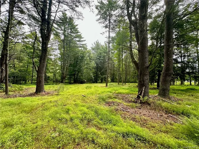 $899,000 | 28 Martin Lane, Mongaup Valley, NY 12762