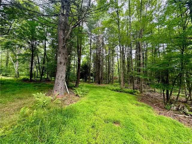 $899,000 | 28 Martin Lane, Mongaup Valley, NY 12762