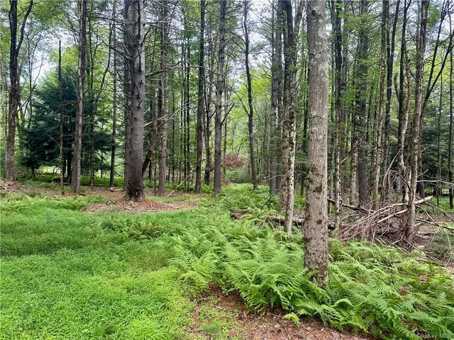 $899,000 | 28 Martin Lane, Mongaup Valley, NY 12762