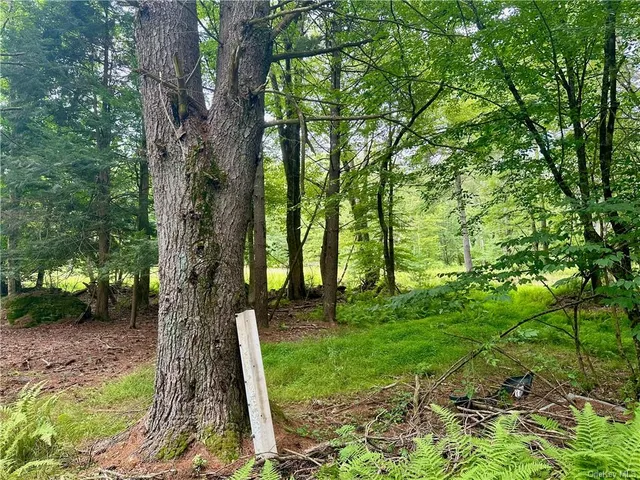 $899,000 | 28 Martin Lane, Mongaup Valley, NY 12762