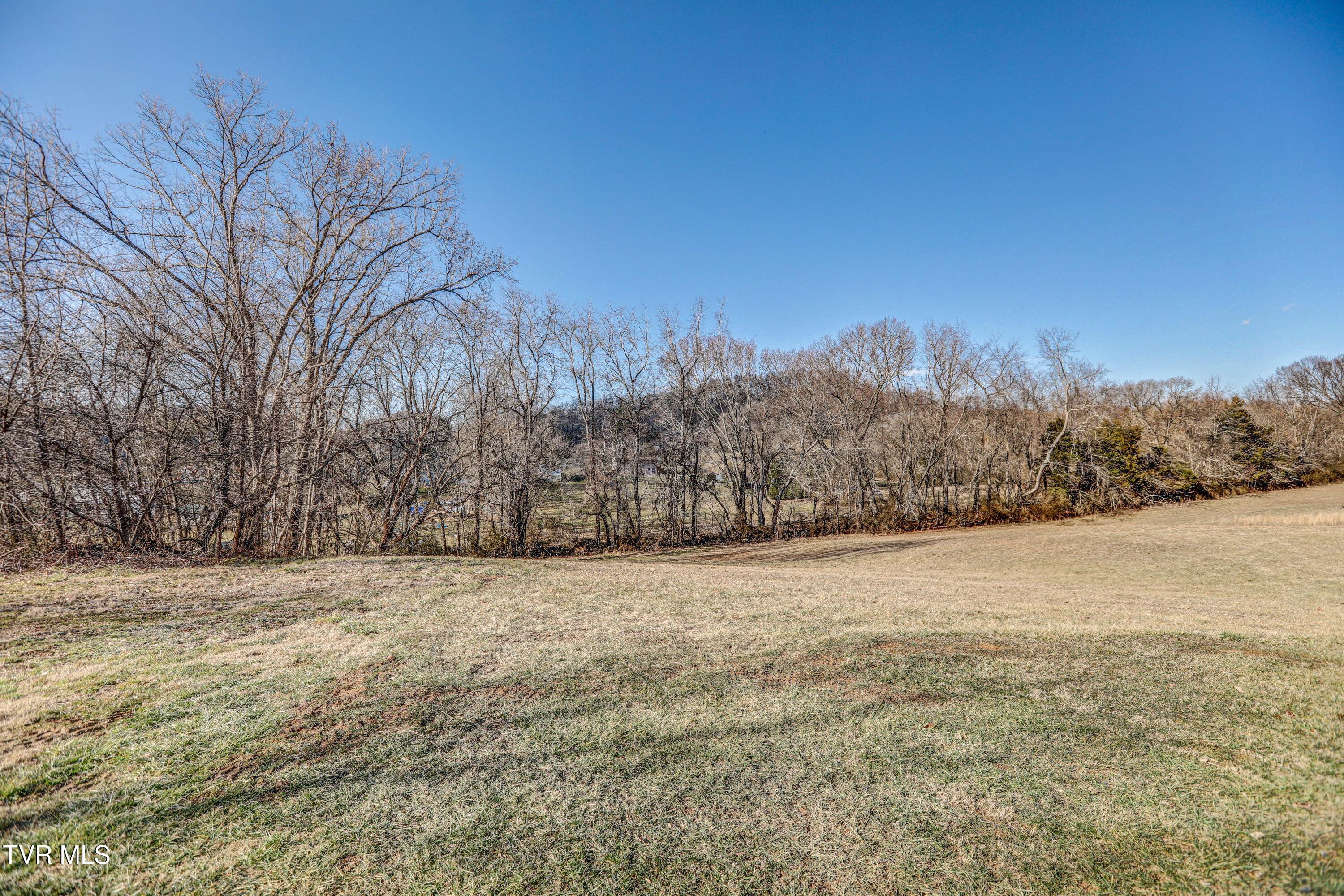 962 Meadow View Road Bristol, TN 37620 - Photo 6 of 38 B42A4684_5_6_7_8