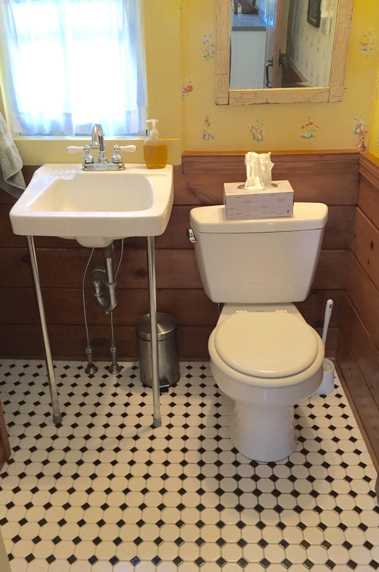 9 Francis Road Truro, MA 02666 - Photo 14 of 34 a bathroom with a sink a toilet a mirror and shower