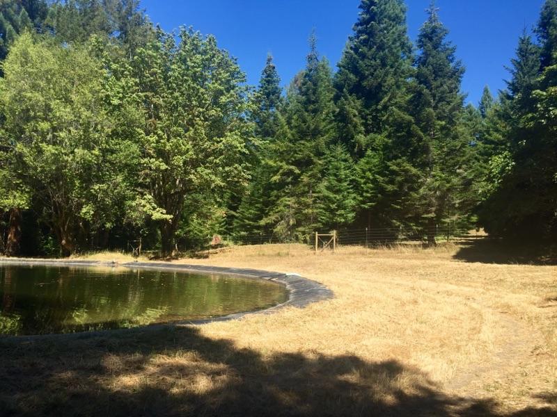40-acres Liscom Hill Road Eureka, CA 95503 - Photo 7 of 8