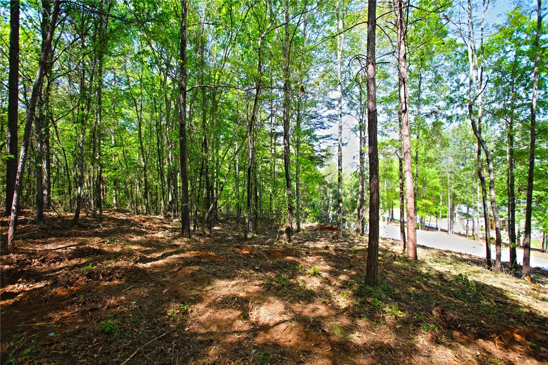 Lot 91 Harbor Point Seneca, SC 29672 - Photo 2 of 24 Mature trees and lush greenery define this expansive natural lot, ready for your vision.