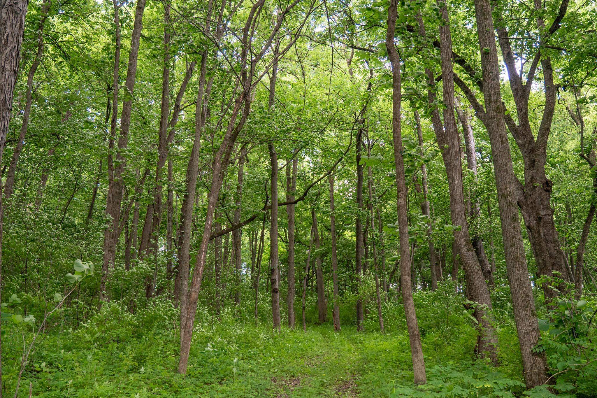 13682 East State Line Road Durand, IL 61024 - Photo 12 of 68