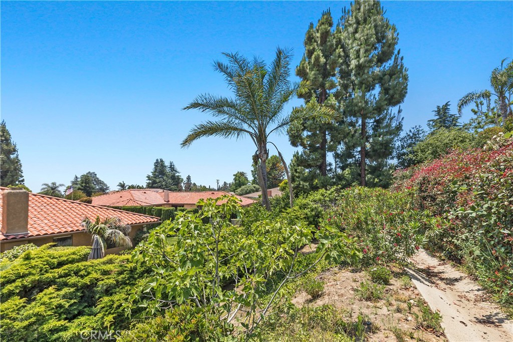 2376 North Vallejo Way Upland, CA 91784 - Photo 36 of 37 a view of a backyard