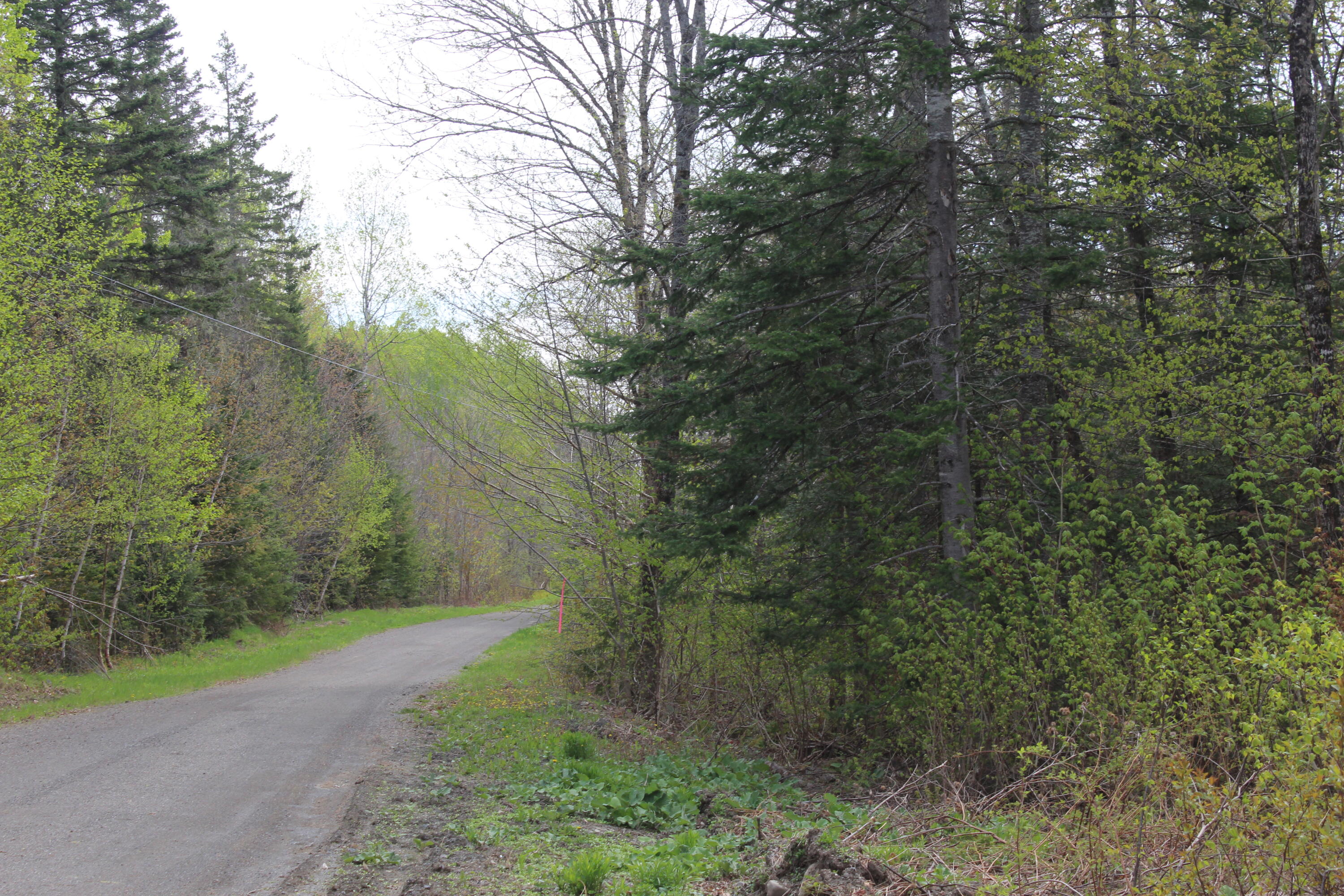 M4-l2 Laskey Road Houlton, ME 04730 - Photo 6 of 20 IMG_5013