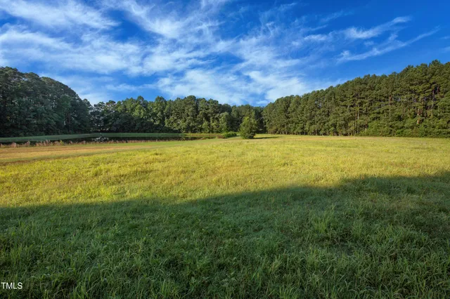 a view of an ocean and beach