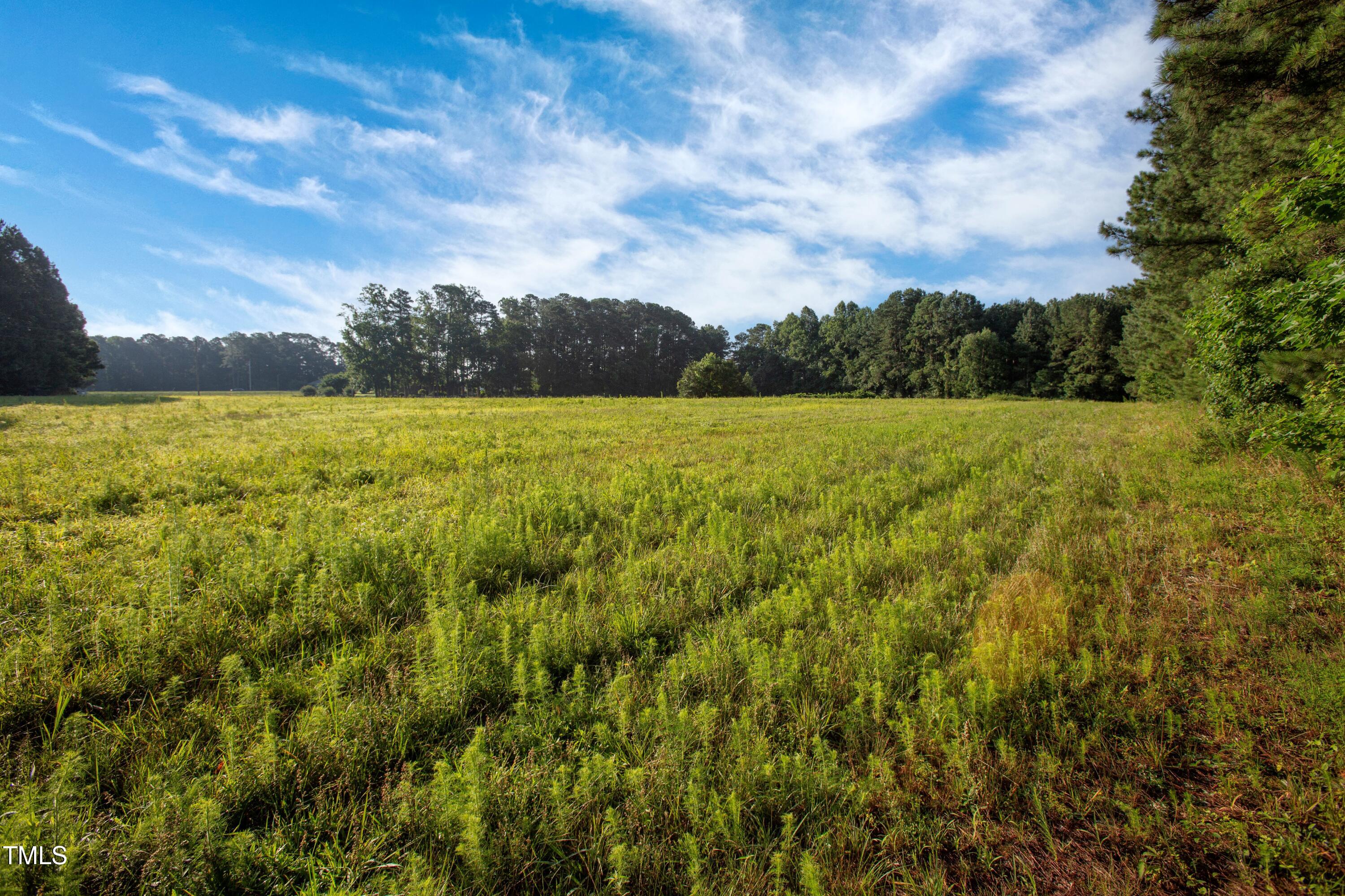 11633 Louisburg Road Wake Forest, NC 27587 - Photo 14 of 31 JTD