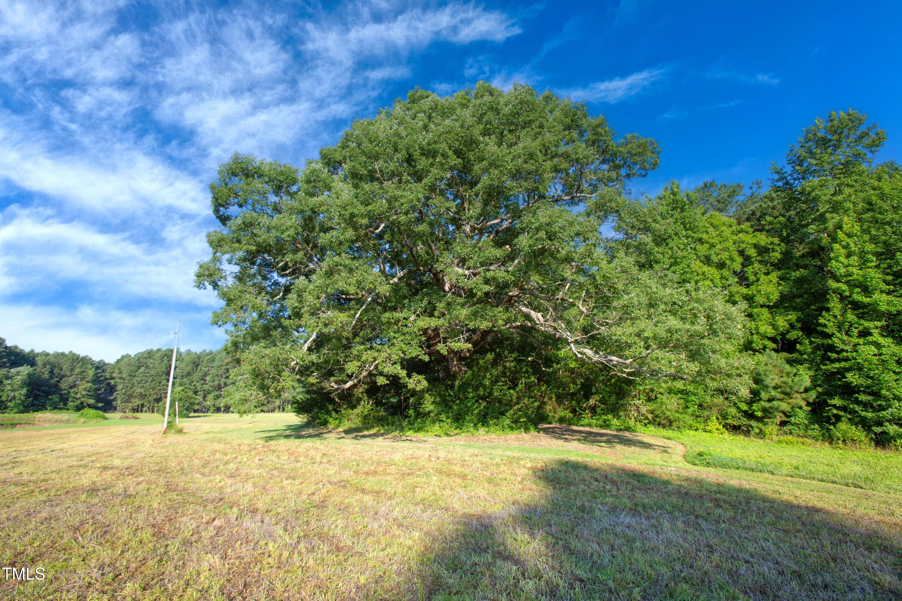 11633 Louisburg Road Wake Forest, NC 27587 - Photo 18 of 31 JTD