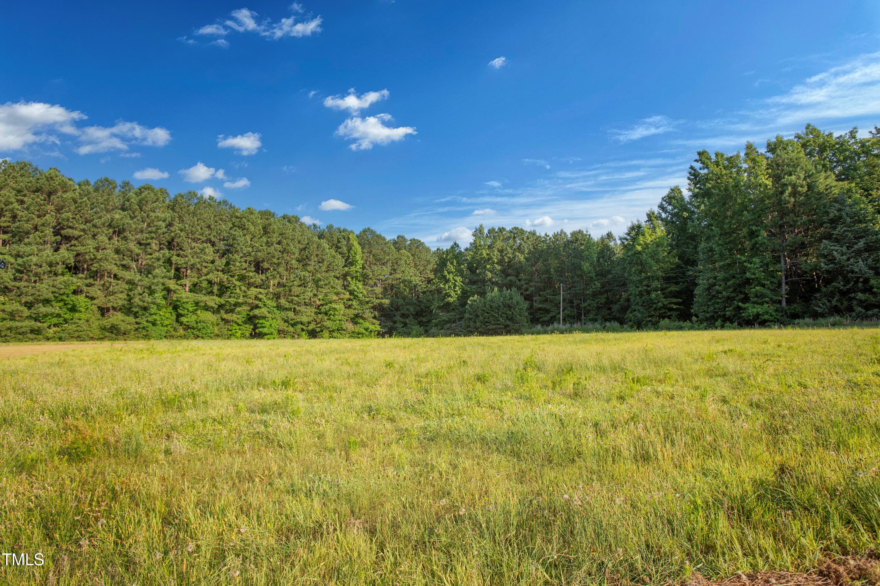 11633 Louisburg Road Wake Forest, NC 27587 - Photo 10 of 31 JTD 4