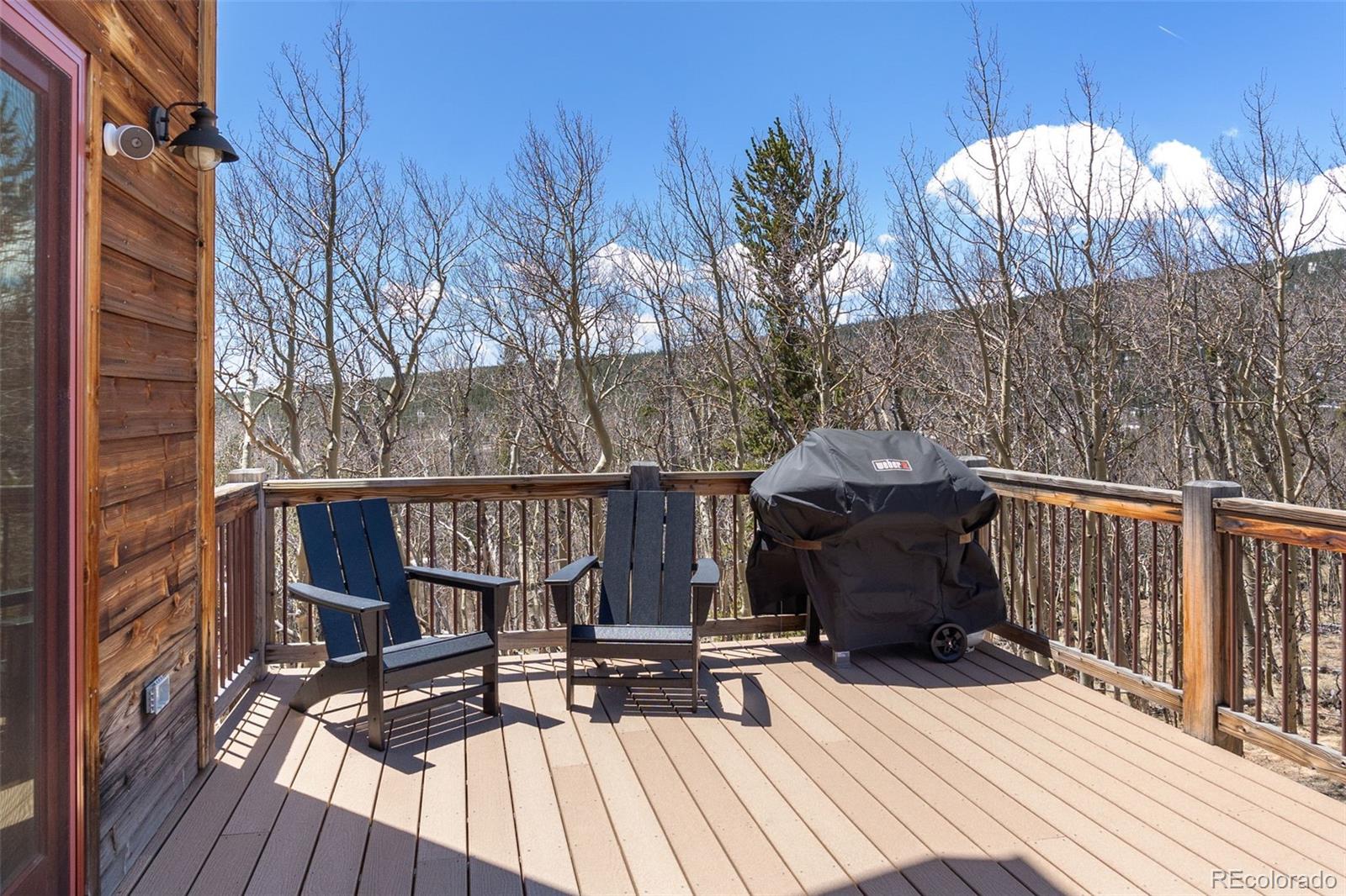 136 Gold Run Road Alma, CO 80420 - Photo 16 of 49 Gallery Image 16