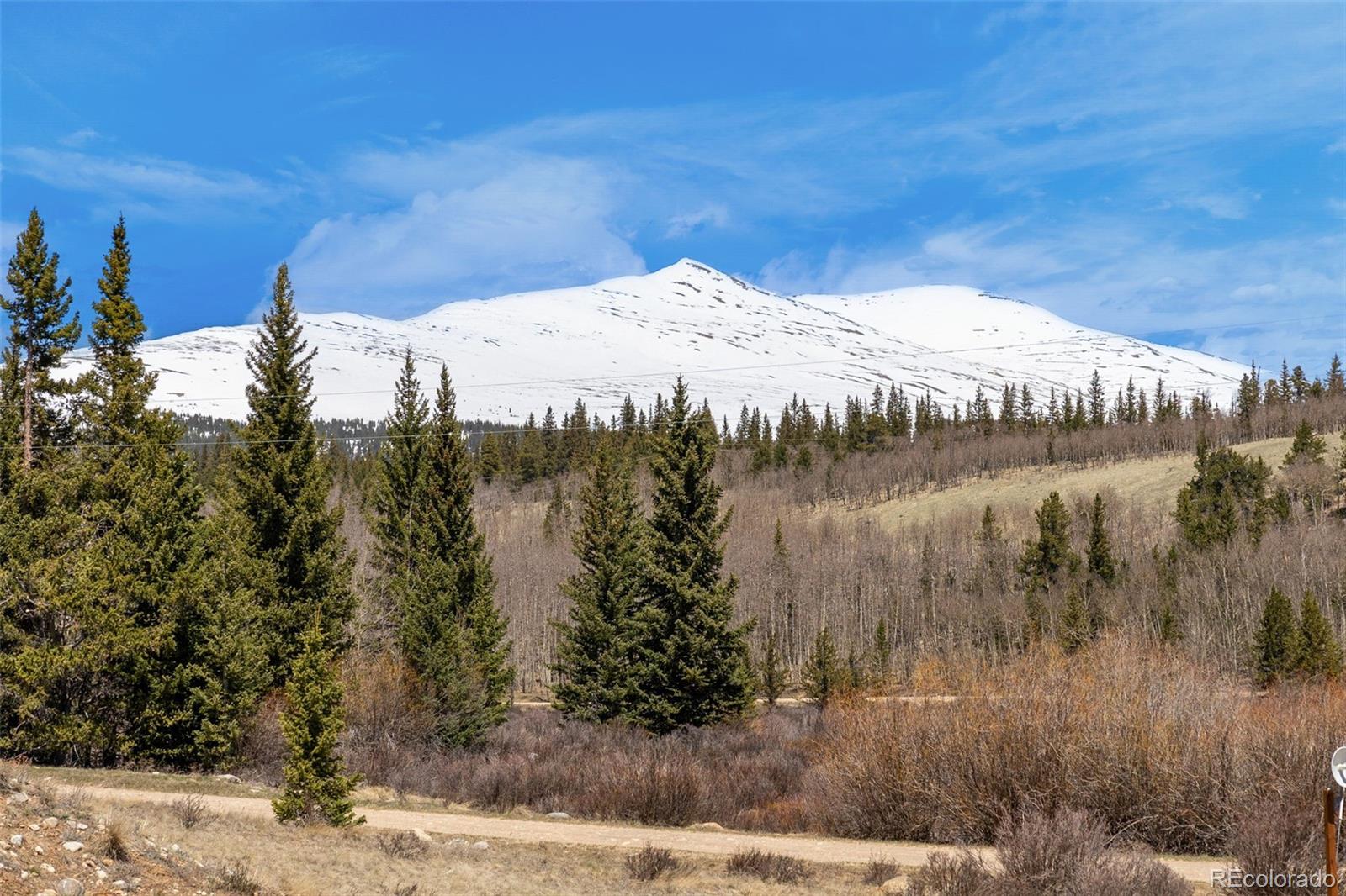 136 Gold Run Road Alma, CO 80420 - Photo 21 of 49 Gallery Image 21