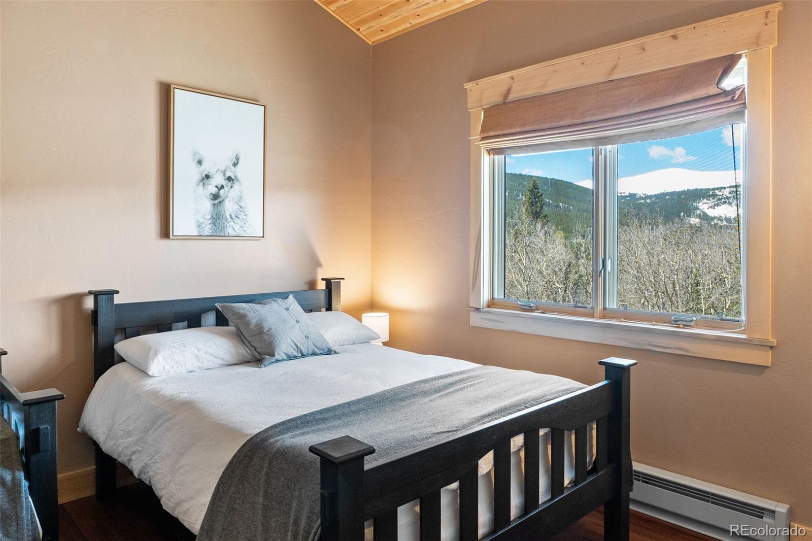136 Gold Run Road Alma, CO 80420 - Photo 31 of 49 Gallery Image 31