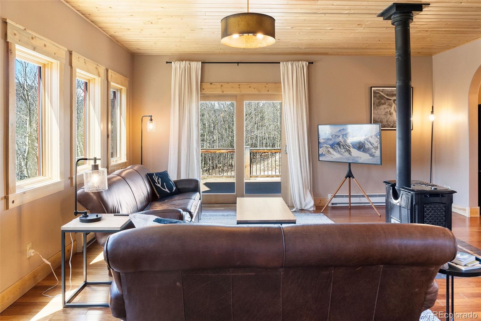 136 Gold Run Road Alma, CO 80420 - Photo 10 of 49 Gallery Image 10