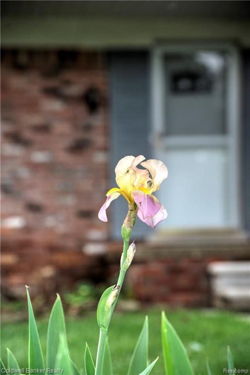 796 Wilwood Road Rochester Hills, MI 48309 - Photo 5 of 36