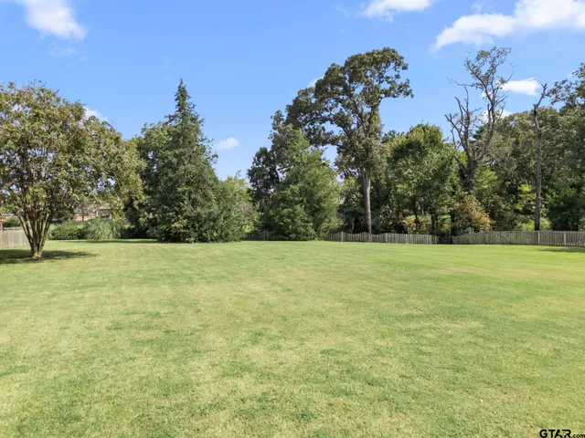 a view of a field with trees