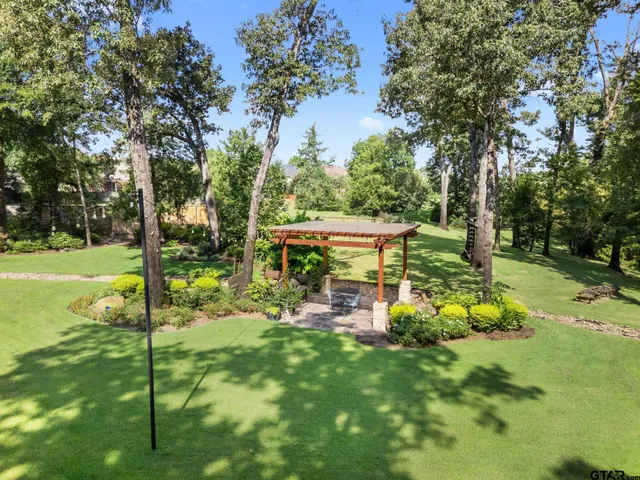 a view of a park with large trees
