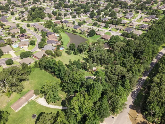 a view of a garden with a tree