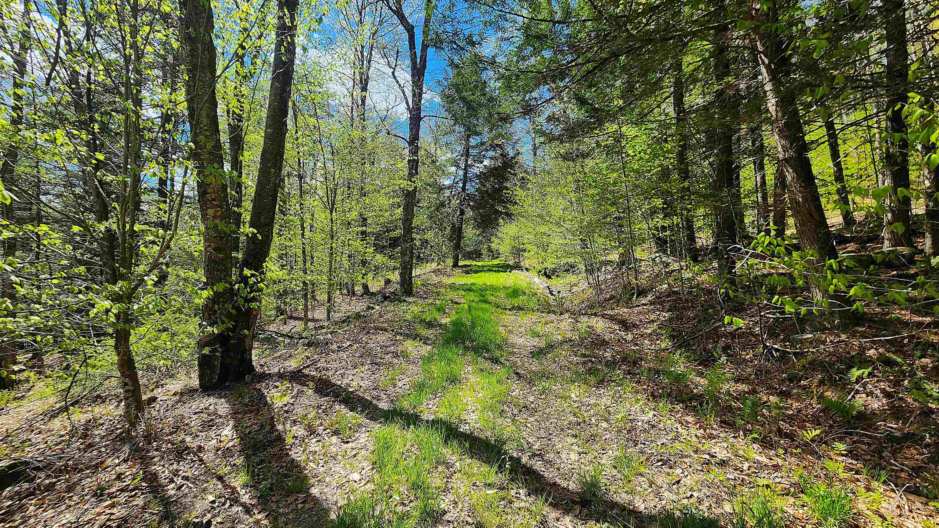 0 Linden Way Chester, VT 05143 - Photo 5 of 22