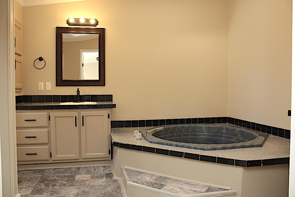 5128 Starks Road Cross Plains, TN 37049 - Photo 9 of 17 a bathroom with a sink and a mirror
