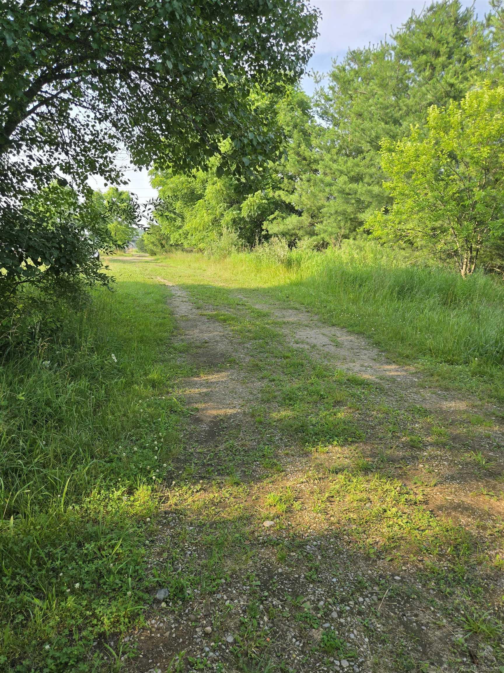 Vl Washington Road Carsonville, MI 48419 - Photo 8 of 8